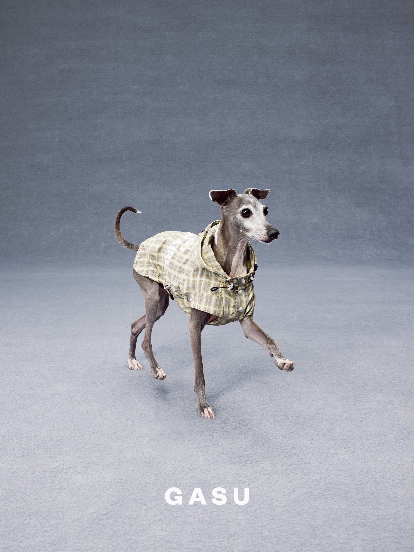 GASU Variété / [Warm Wheat Plaid] Yarn-Dyed Crinkled CUTEST BILLIONAIRE Sleeveless Shirt