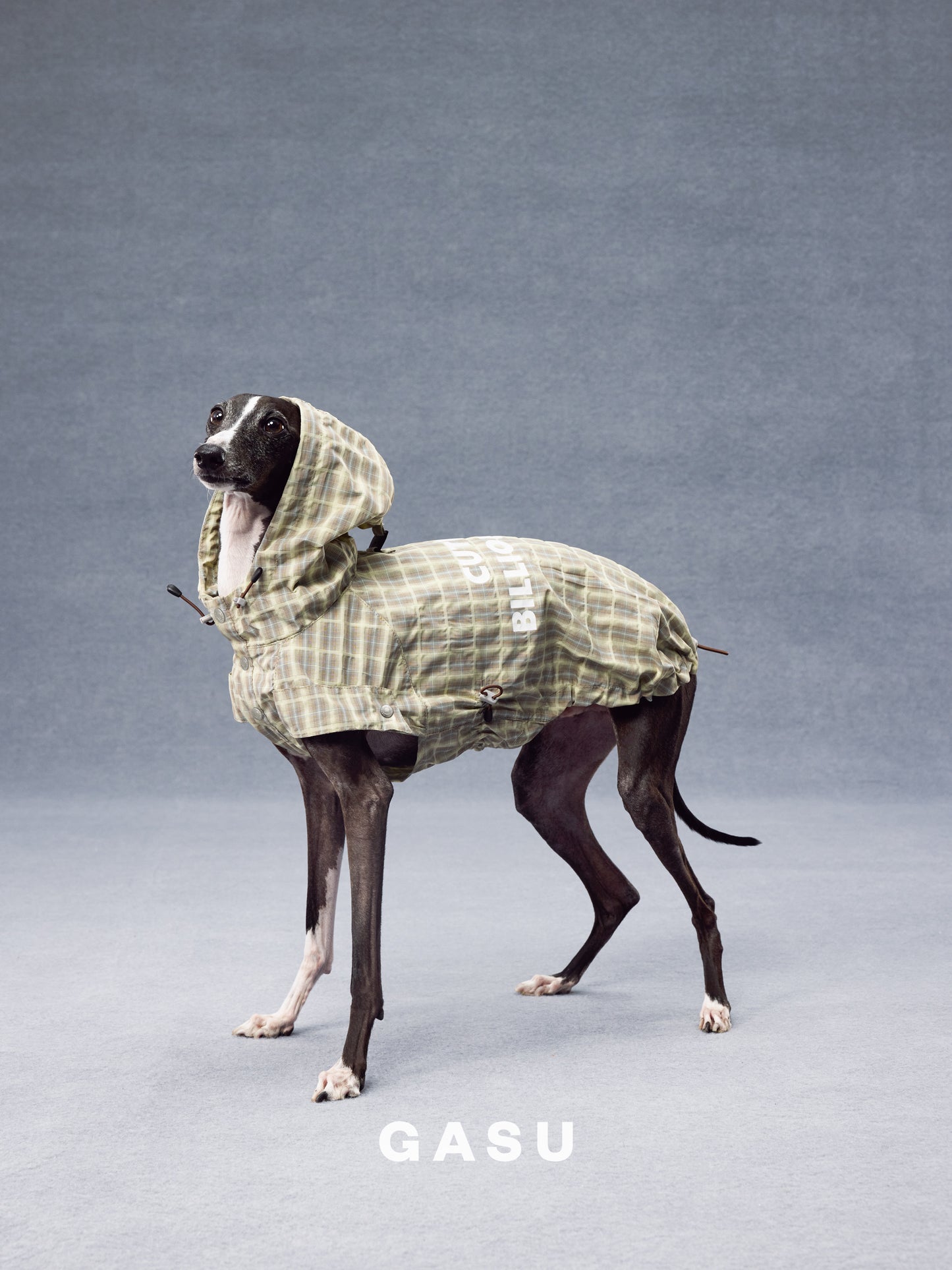 GASU Variété / [Warm Wheat Plaid] Yarn-Dyed Crinkled CUTEST BILLIONAIRE Sleeveless Shirt