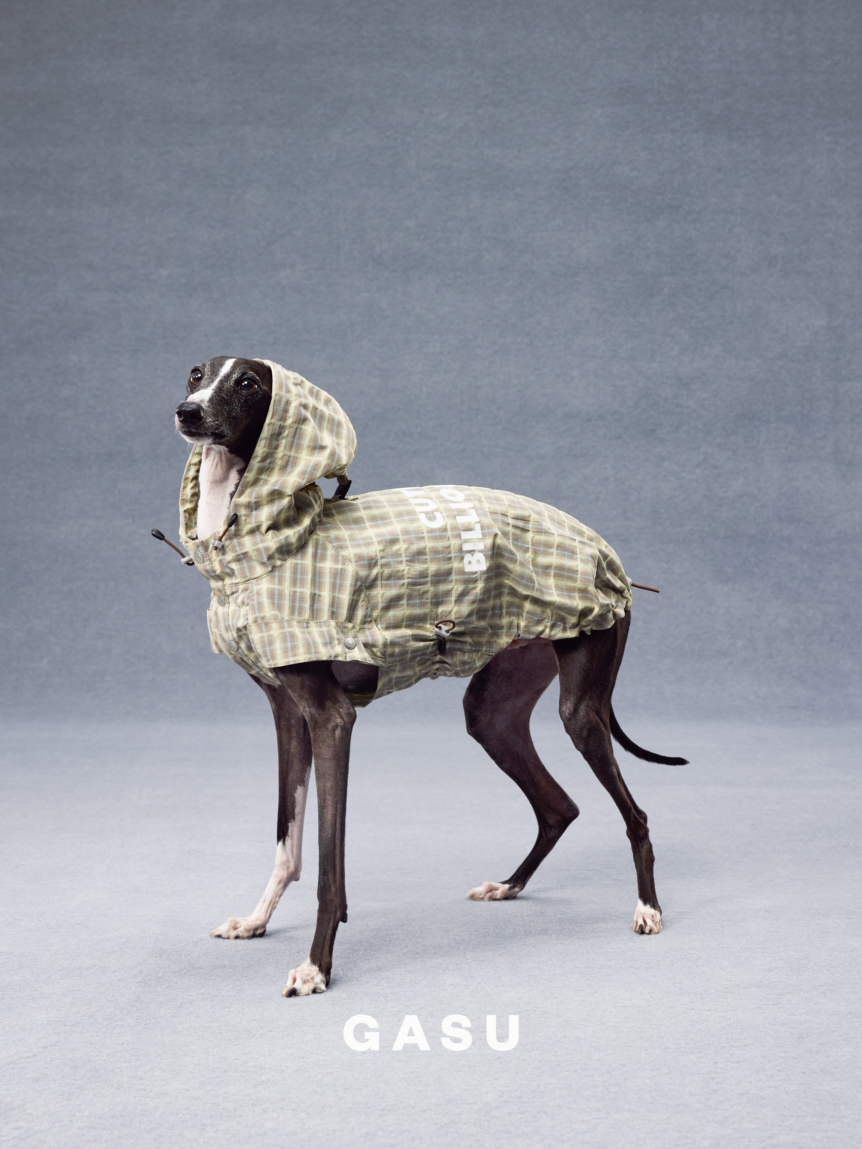 GASU Variété / [Warm Wheat Plaid] Yarn-Dyed Crinkled CUTEST BILLIONAIRE Sleeveless Shirt
