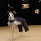 GASU Moi /  [Navy Demin] Pets & Human Vintage Demin Baseball Cap