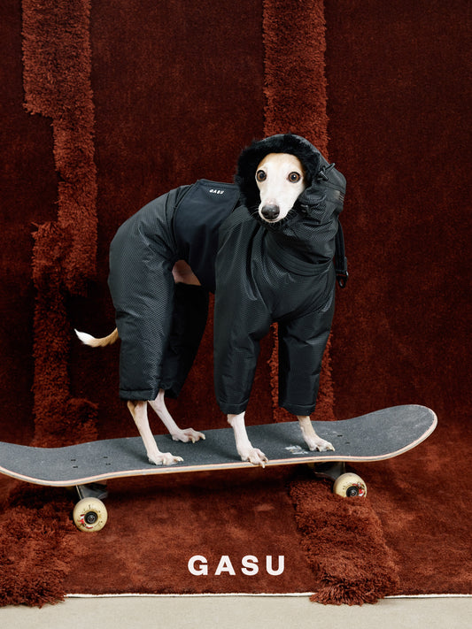 GASU Assembler / [Ink Mirage] 3M Thinsulate™ Antistatic Down-Feel Ultra-Waterproof Extra-Thick 4-Legged Padded Snowsuit
