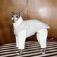 GASU Soleil / [2 Colors] Durable Anti-Static Sporty Fleece Jumpsuit
