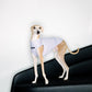 GASU® Flâner / [11 Colors] Anti-static Warm Tight Elastic Belly-protecting Vest