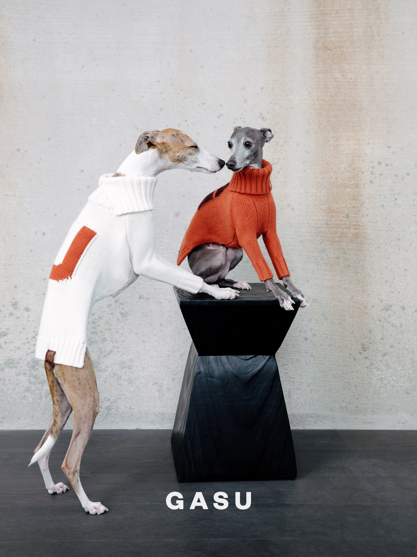 GASU® Svelte / [4 Colors] Vintage Letter Iggy 2-Legged Wool Sweater