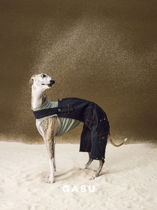 GASU Variété / [Navy Demin] Imported Metal Buckles Utility Overalls