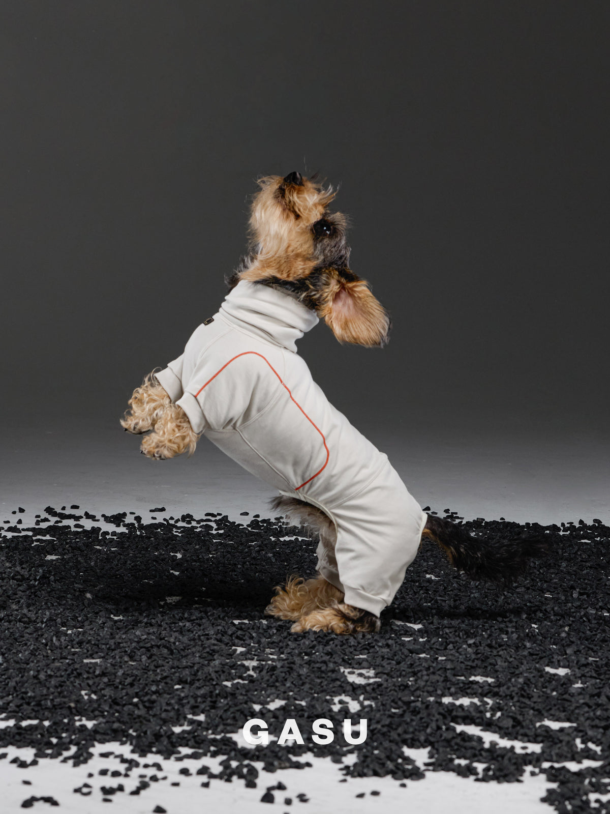 GASU Flâner/ [2 Colors] Cloud Soft Hug Jumpsuit