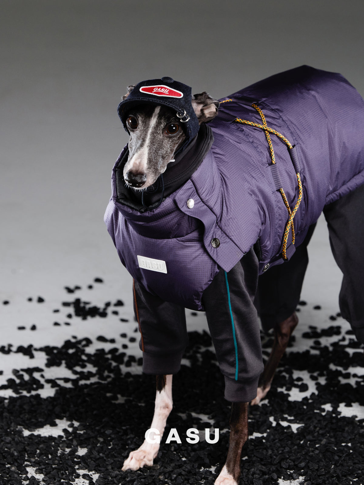 GASU Moi /  [Navy Demin] Pets & Human Vintage Demin Baseball Cap