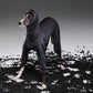 GASU Flâner/ [2 Colors] Cloud Soft Hug Jumpsuit