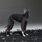 GASU Flâner/ [2 Colors] Cloud Soft Hug Jumpsuit