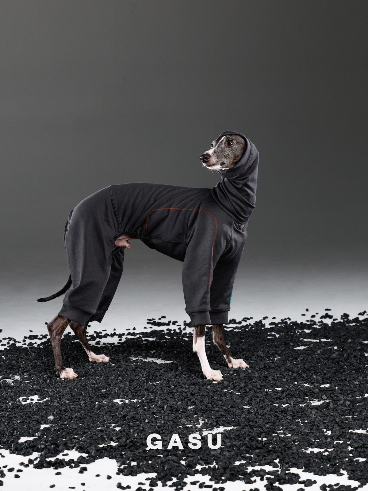 GASU Flâner/ [2 Colors] Cloud Soft Hug Jumpsuit