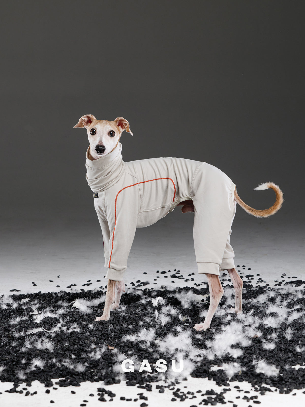 GASU Flâner/ [2 Colors] Cloud Soft Hug Jumpsuit