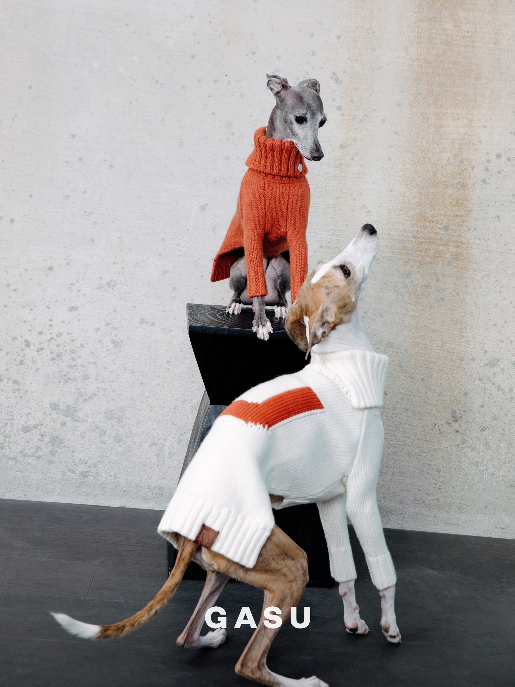 GASU® Svelte / [4 Colors] Vintage Letter Iggy 2-Legged Wool Sweater