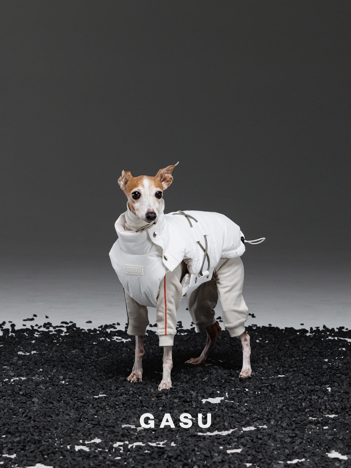 GASU Variété / [Cloud Sand] Waterproof Reversible Ultra-Light Padded Vest