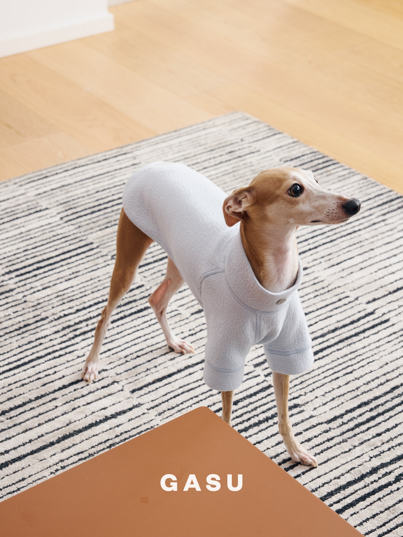 GASU Moi / [4 Colors] Super Comfortable Yarn-dyed T-shirt