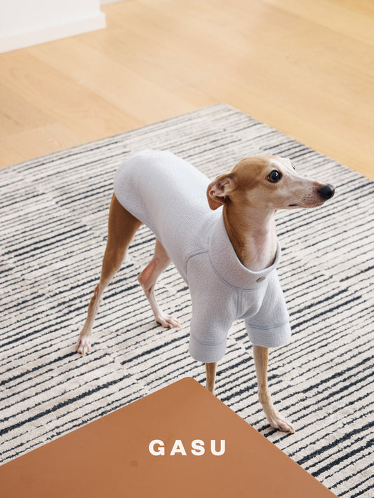 GASU Moi / [4 Colors] Super Comfortable Yarn-dyed T-shirt