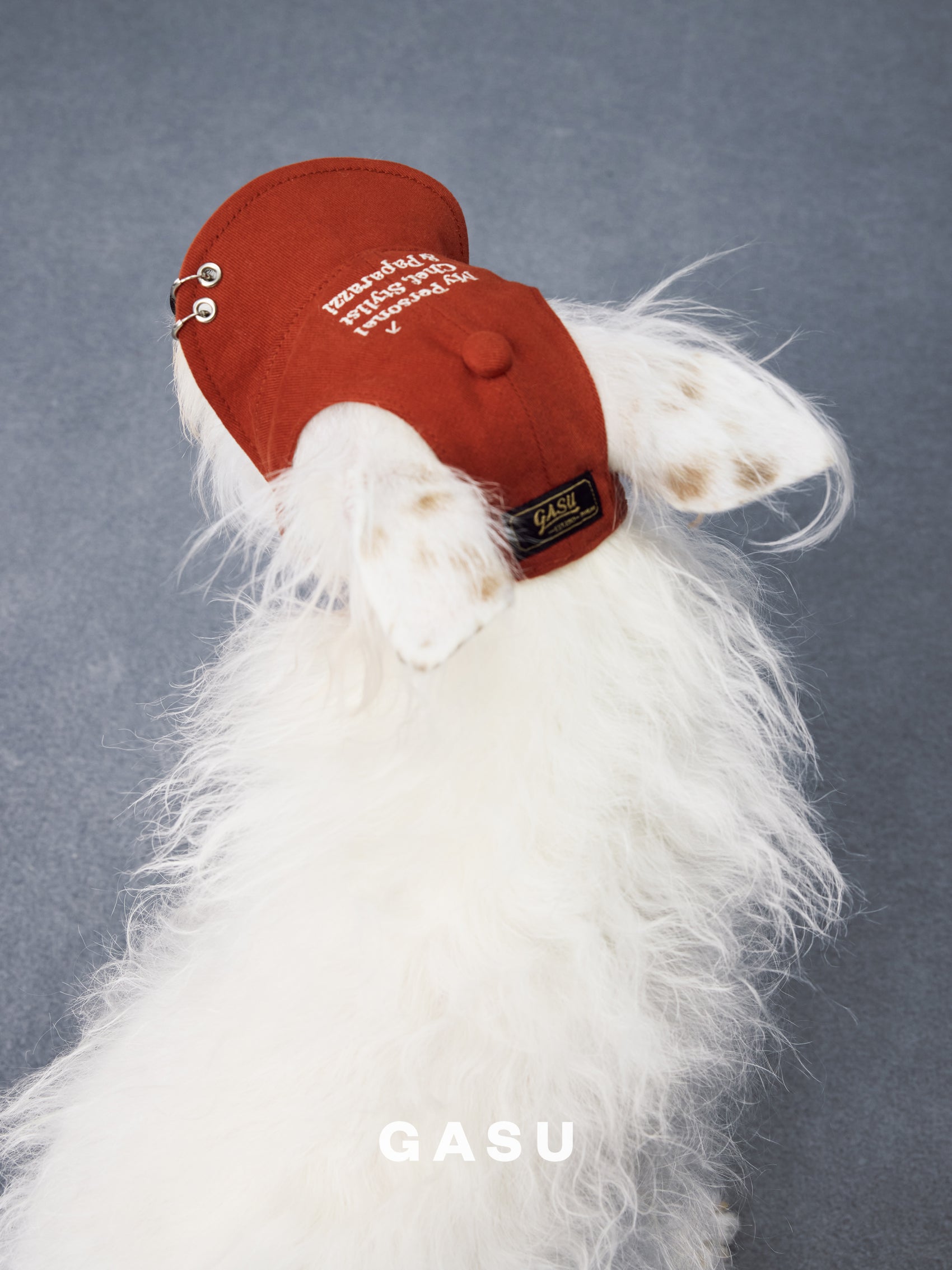 GASU Moi /  [3 Colors] Pet Whisper | Vintage Washed Soft Baseball Cap