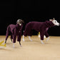 GASU Soleil / [3 Colors] Durable Anti-Static Sporty Fleece Jumpsuit