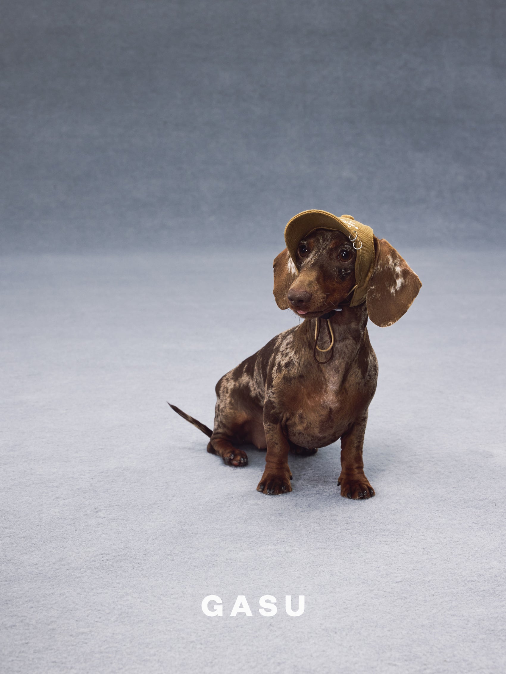 GASU Moi /  [3 Colors] Pet Whisper | Vintage Washed Soft Baseball Cap