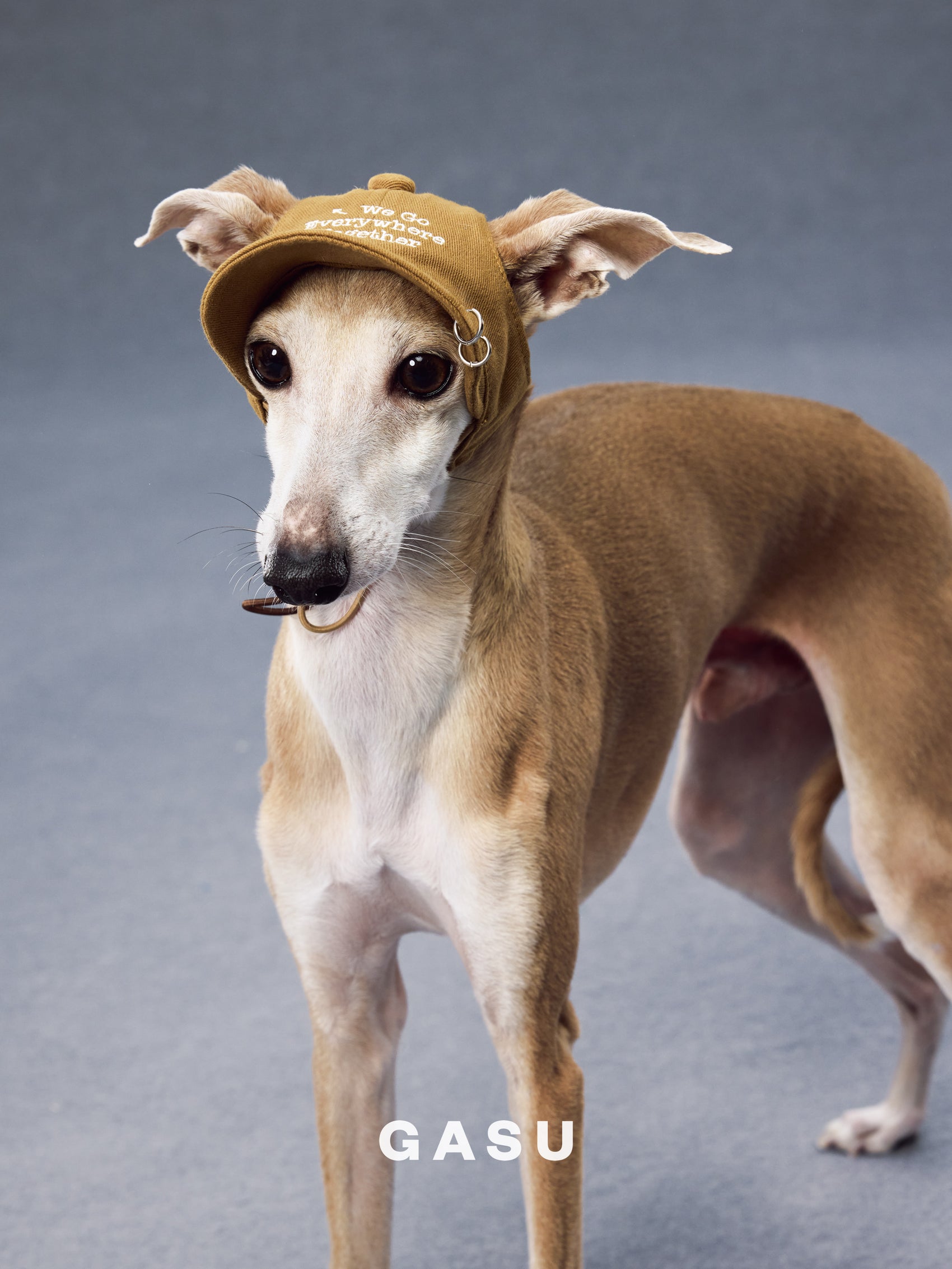 GASU Moi /  [3 Colors] Pet Whisper | Vintage Washed Soft Baseball Cap