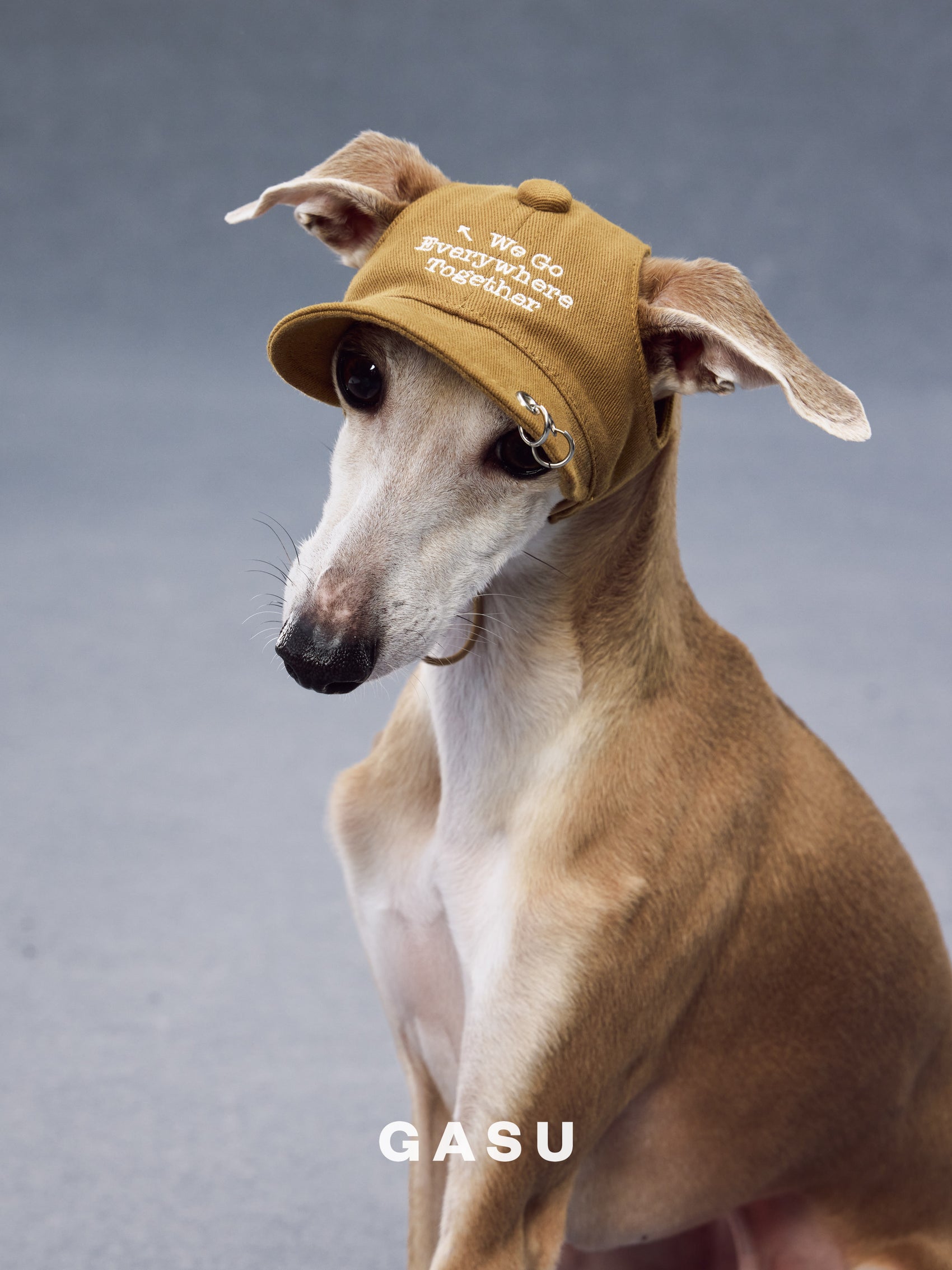 GASU Moi /  [3 Colors] Pet Whisper | Vintage Washed Soft Baseball Cap