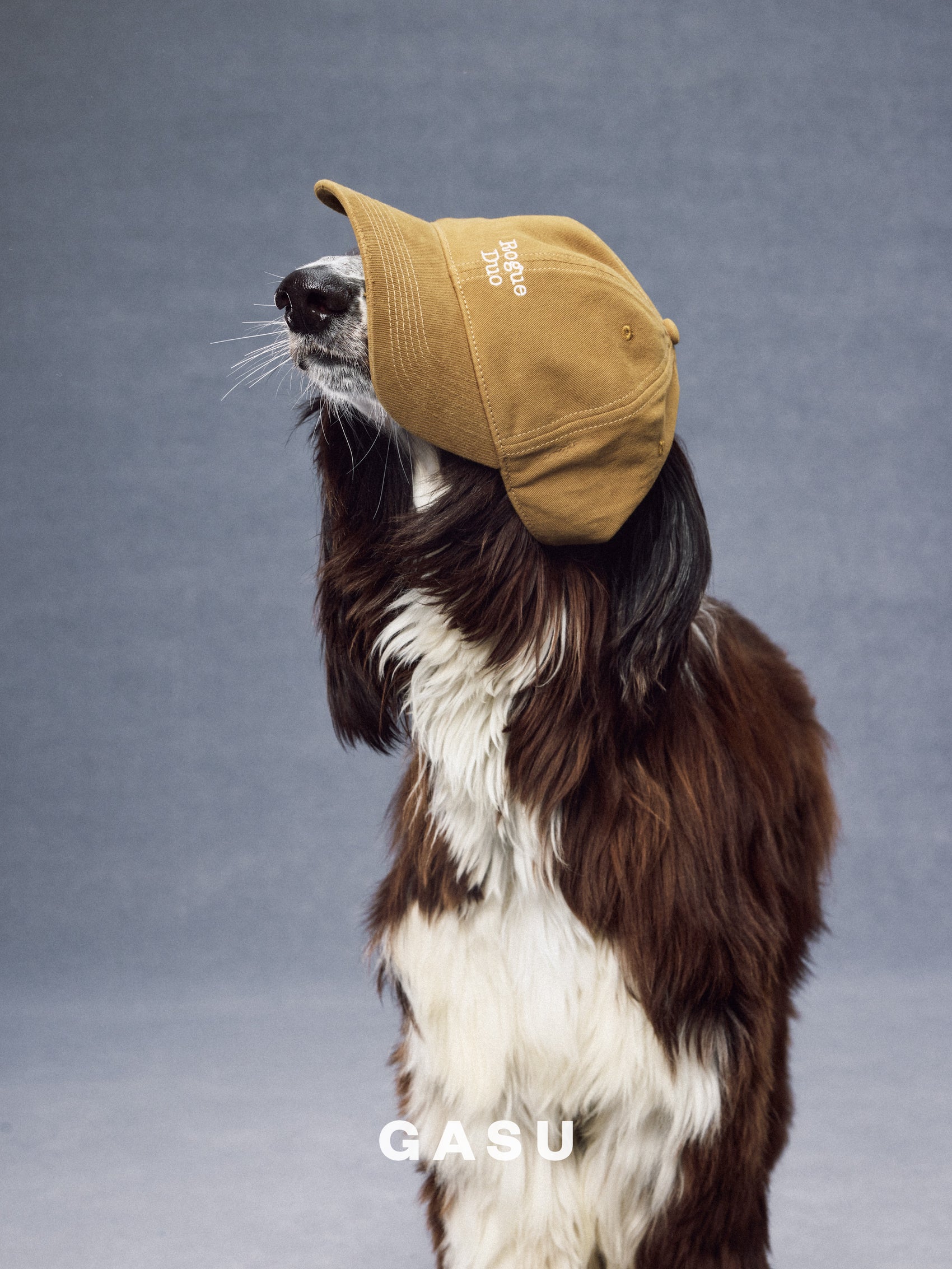 GASU Moi /  [3 Colors] Pet Whisper | Vintage Washed Soft Baseball Cap
