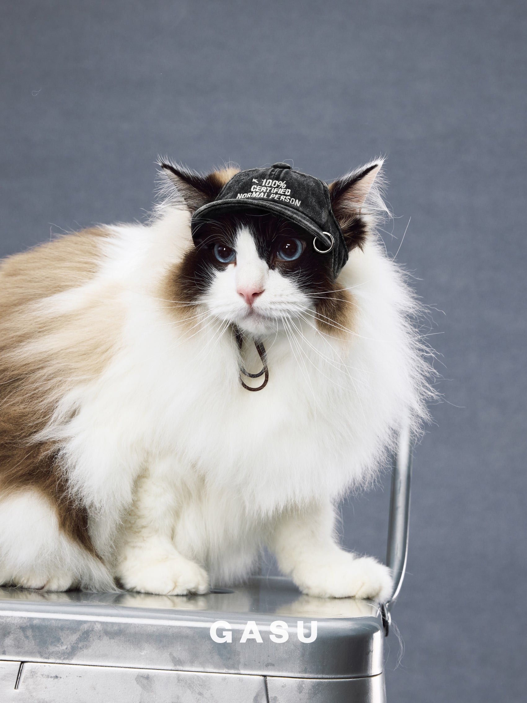 GASU Moi /  [3 Colors] Pet Whisper | Vintage Washed Soft Baseball Cap