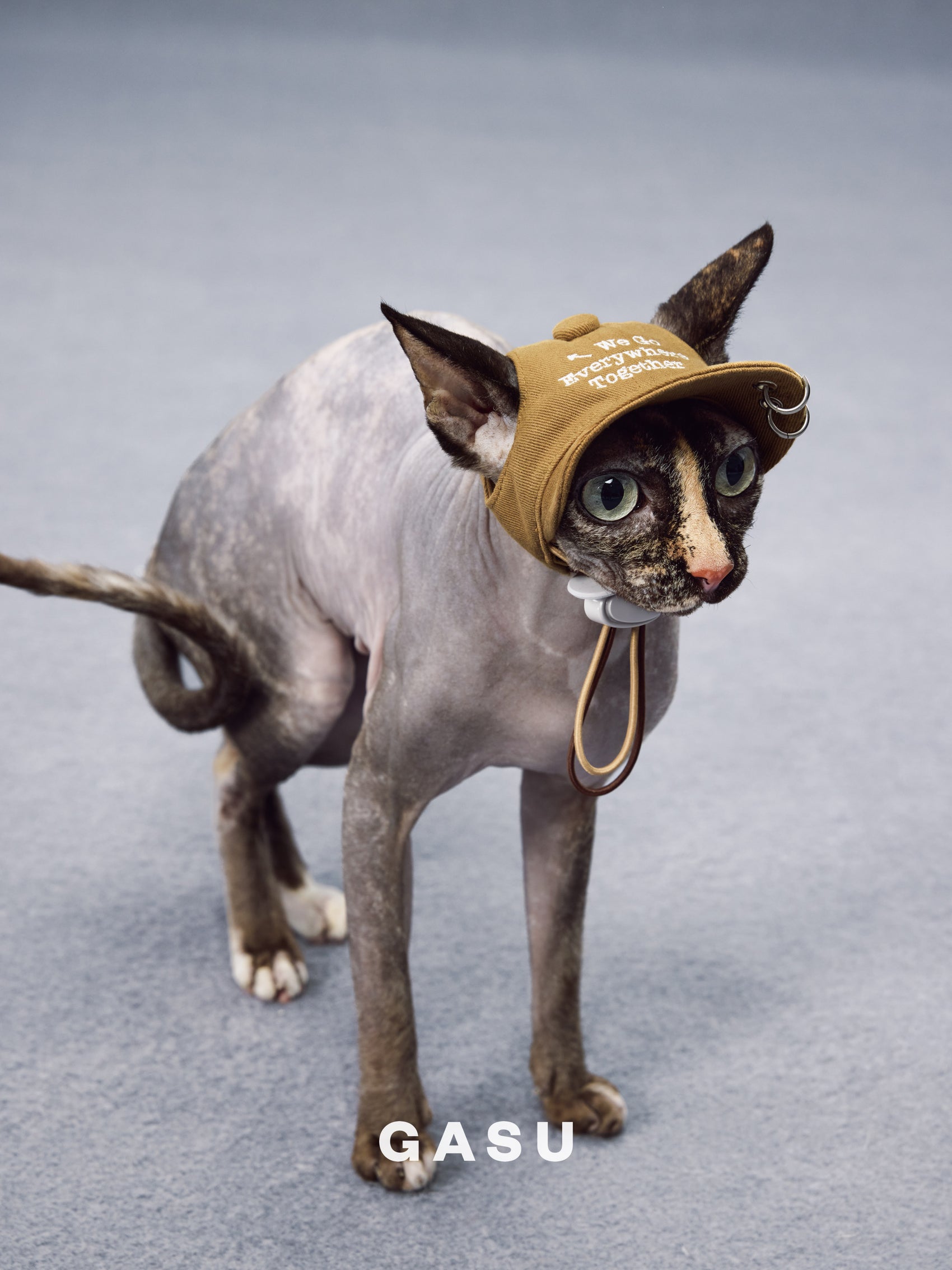 GASU Moi /  [3 Colors] Pet Whisper | Vintage Washed Soft Baseball Cap