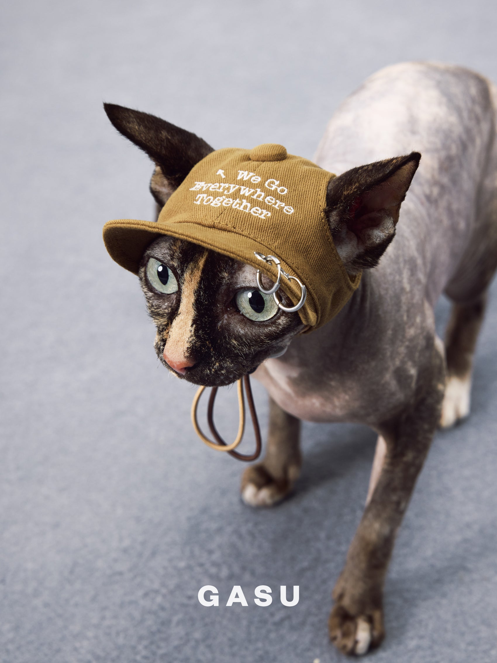 GASU Moi /  [3 Colors] Pet Whisper | Vintage Washed Soft Baseball Cap