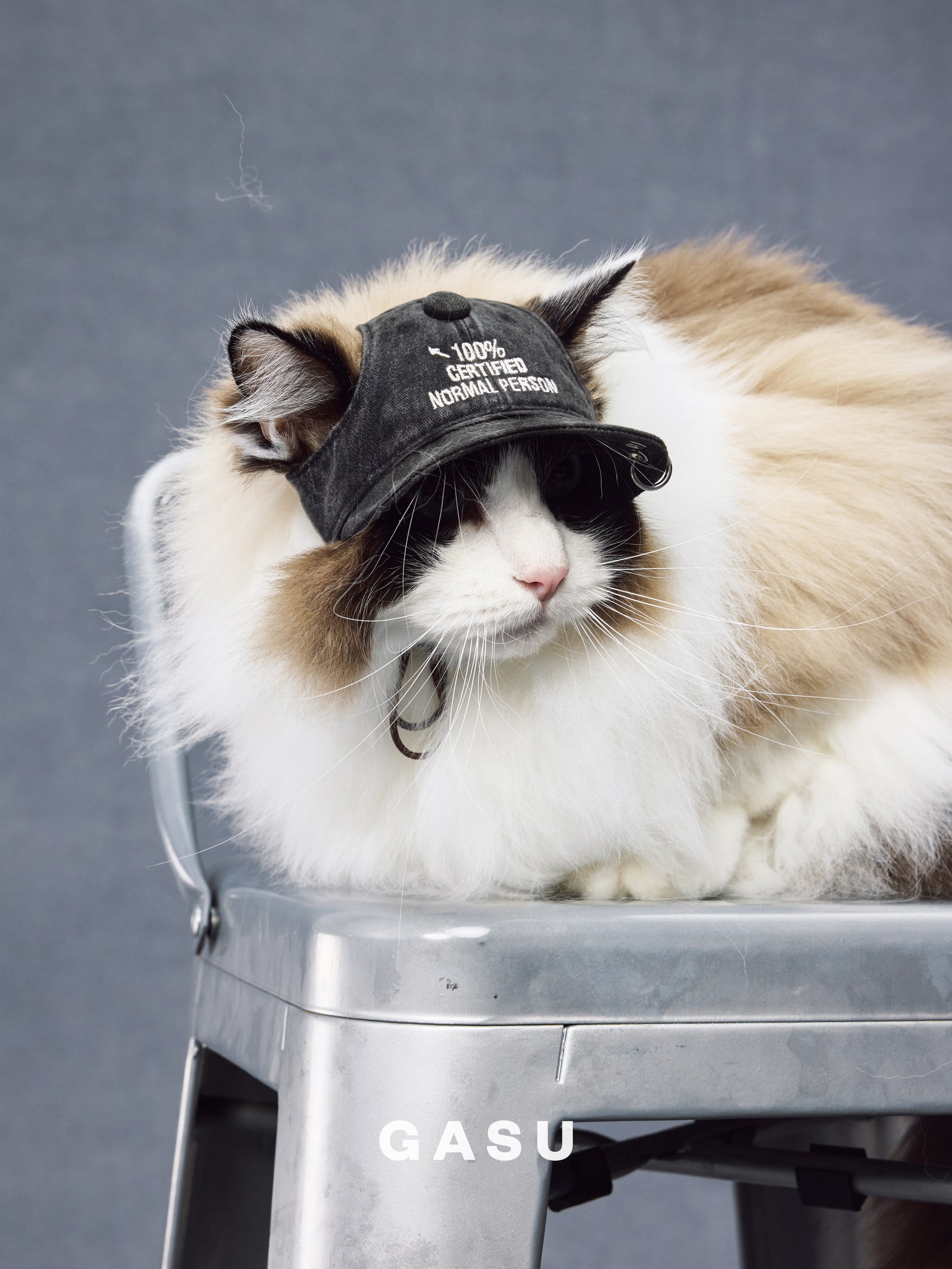 GASU Moi /  [3 Colors] Pet Whisper | Vintage Washed Soft Baseball Cap