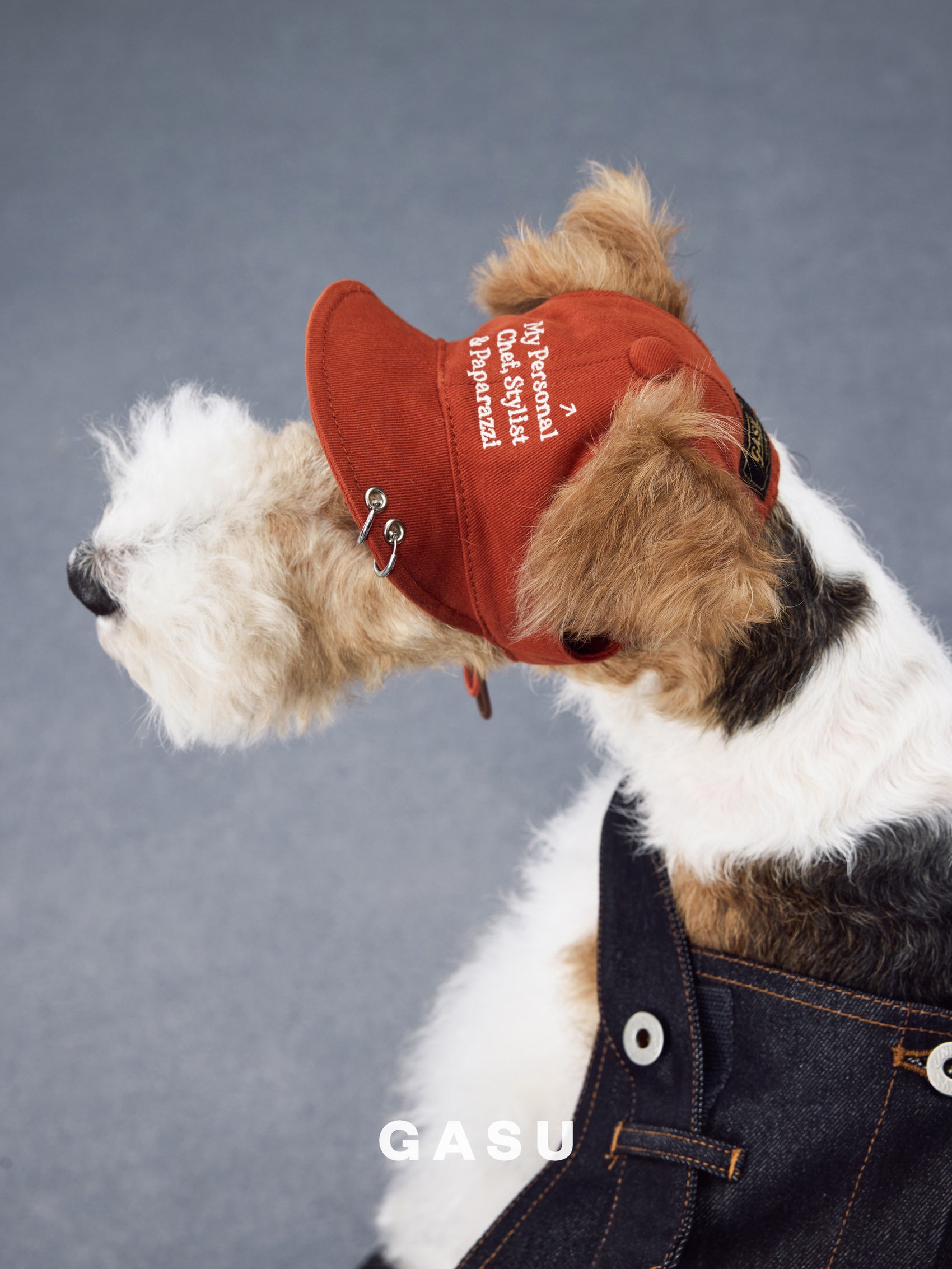 GASU Moi /  [3 Colors] Pet Whisper | Vintage Washed Soft Baseball Cap