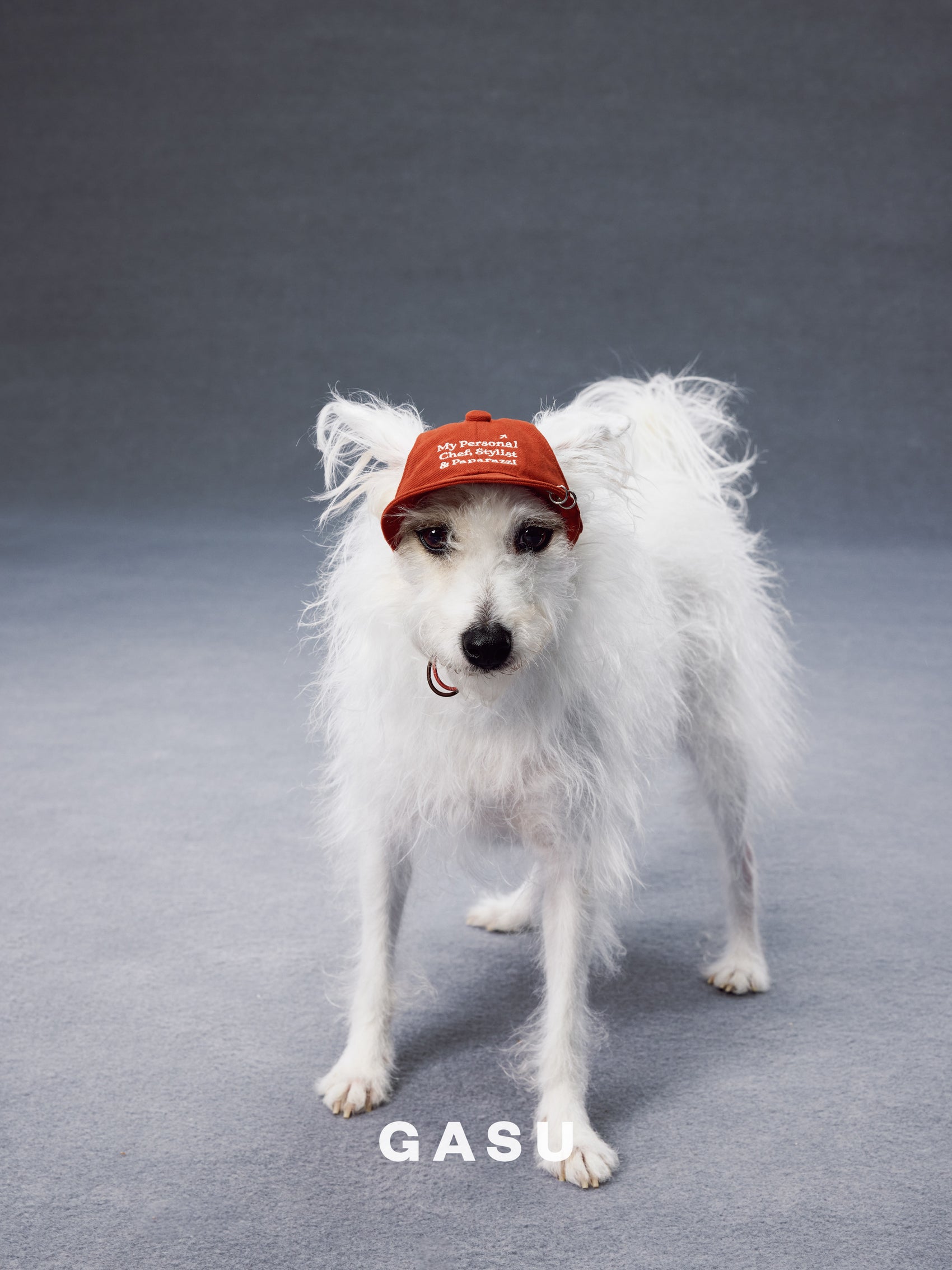 GASU Moi /  [3 Colors] Pet Whisper | Vintage Washed Soft Baseball Cap