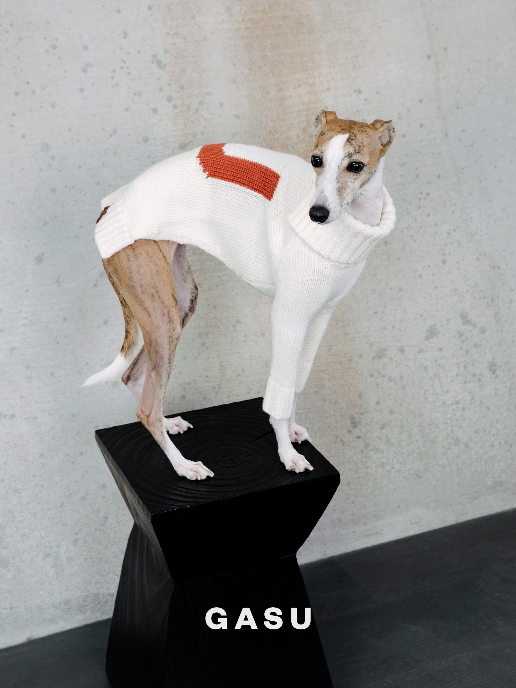GASU® Svelte / [4 Colors] Vintage Letter Iggy 2-Legged Wool Sweater