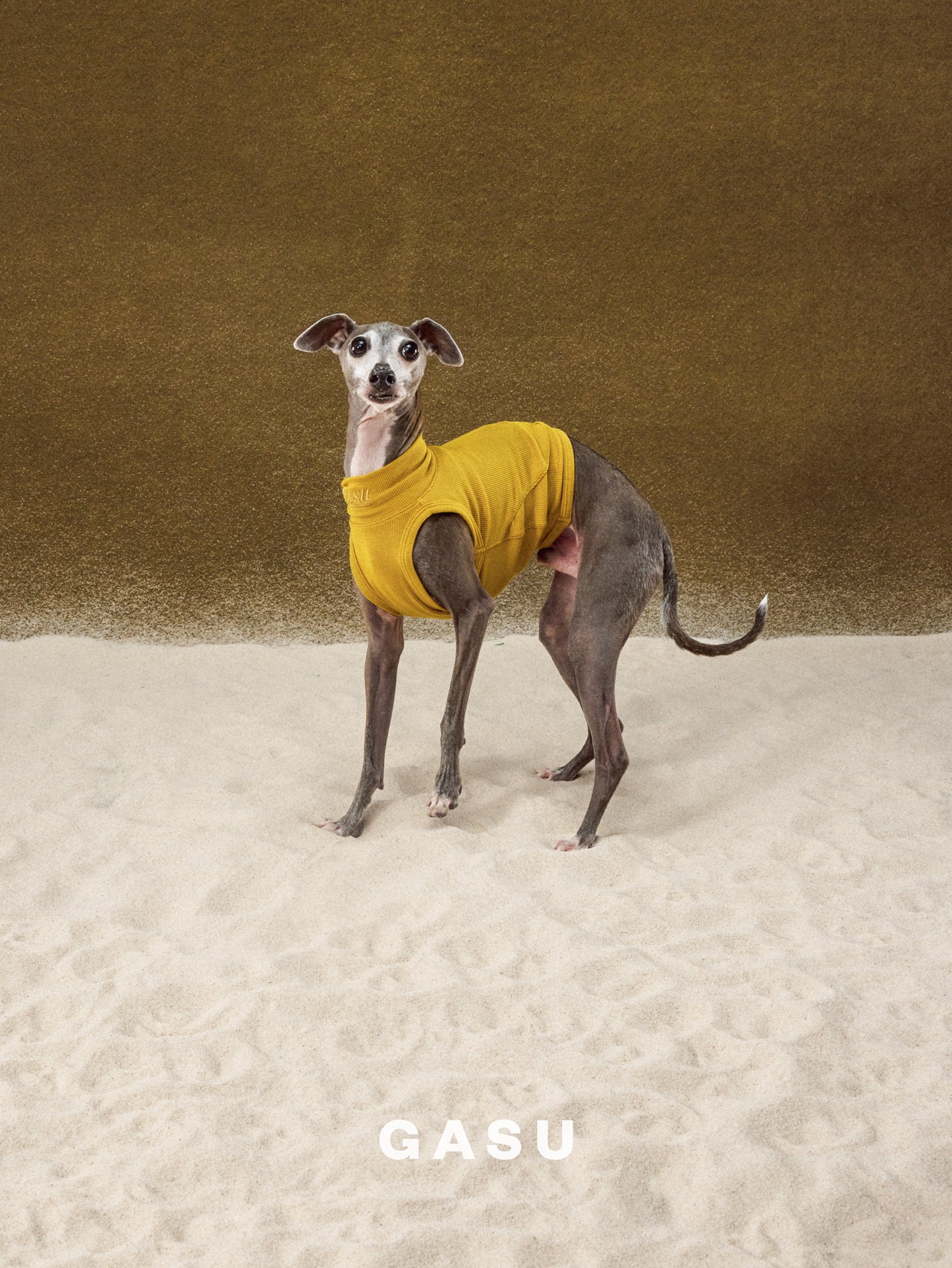 GASU Flâner / [6 COLORS] Ultra-Soft High-Stretch Embroidered Tank