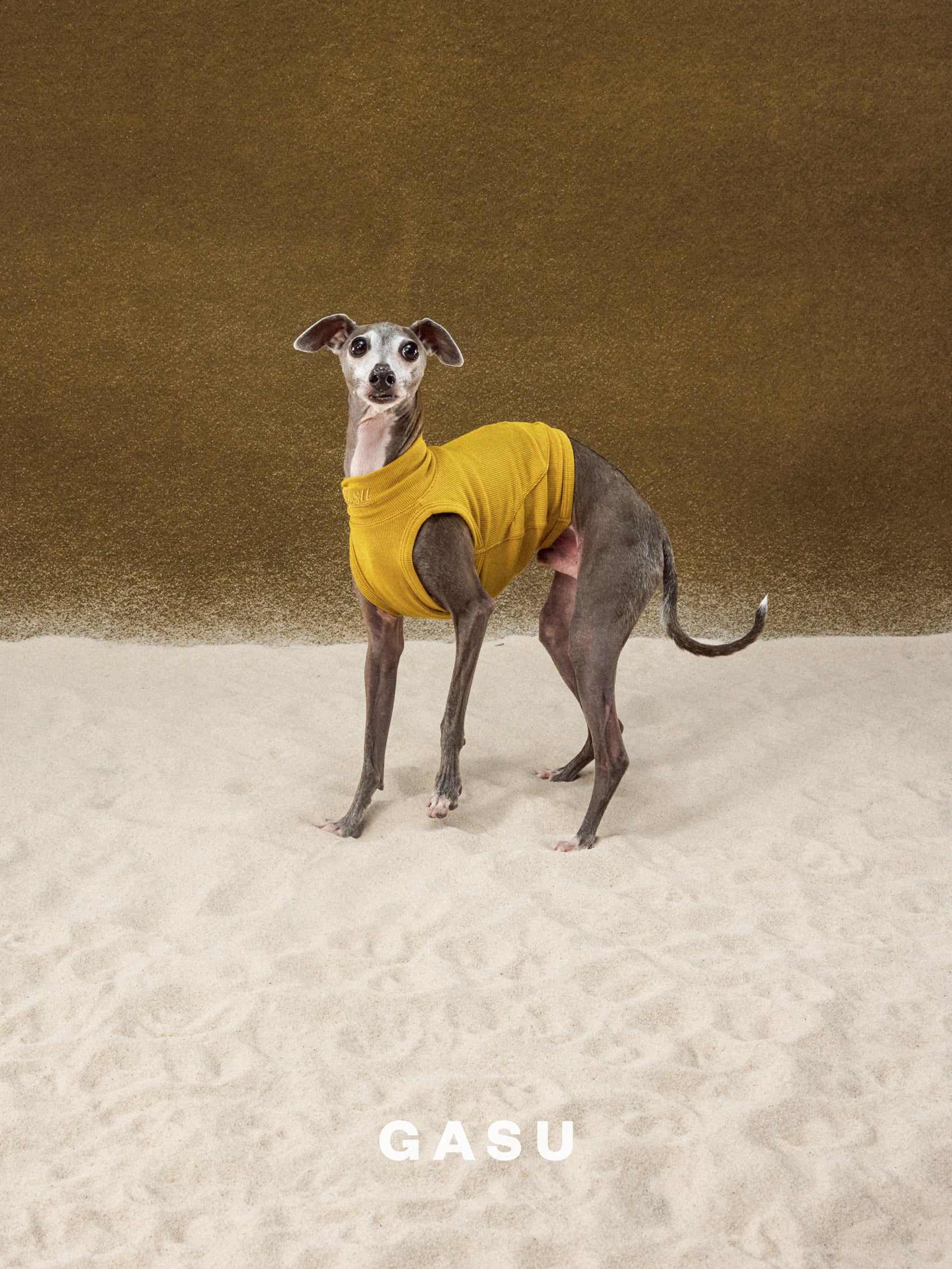 GASU Flâner / [6 COLORS] Ultra-Soft High-Stretch Embroidered Tank