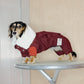 GASU Variété / [2 Colors] Detachable Strong Waterproof 4-Leg Parka with Thick Fleece Lining