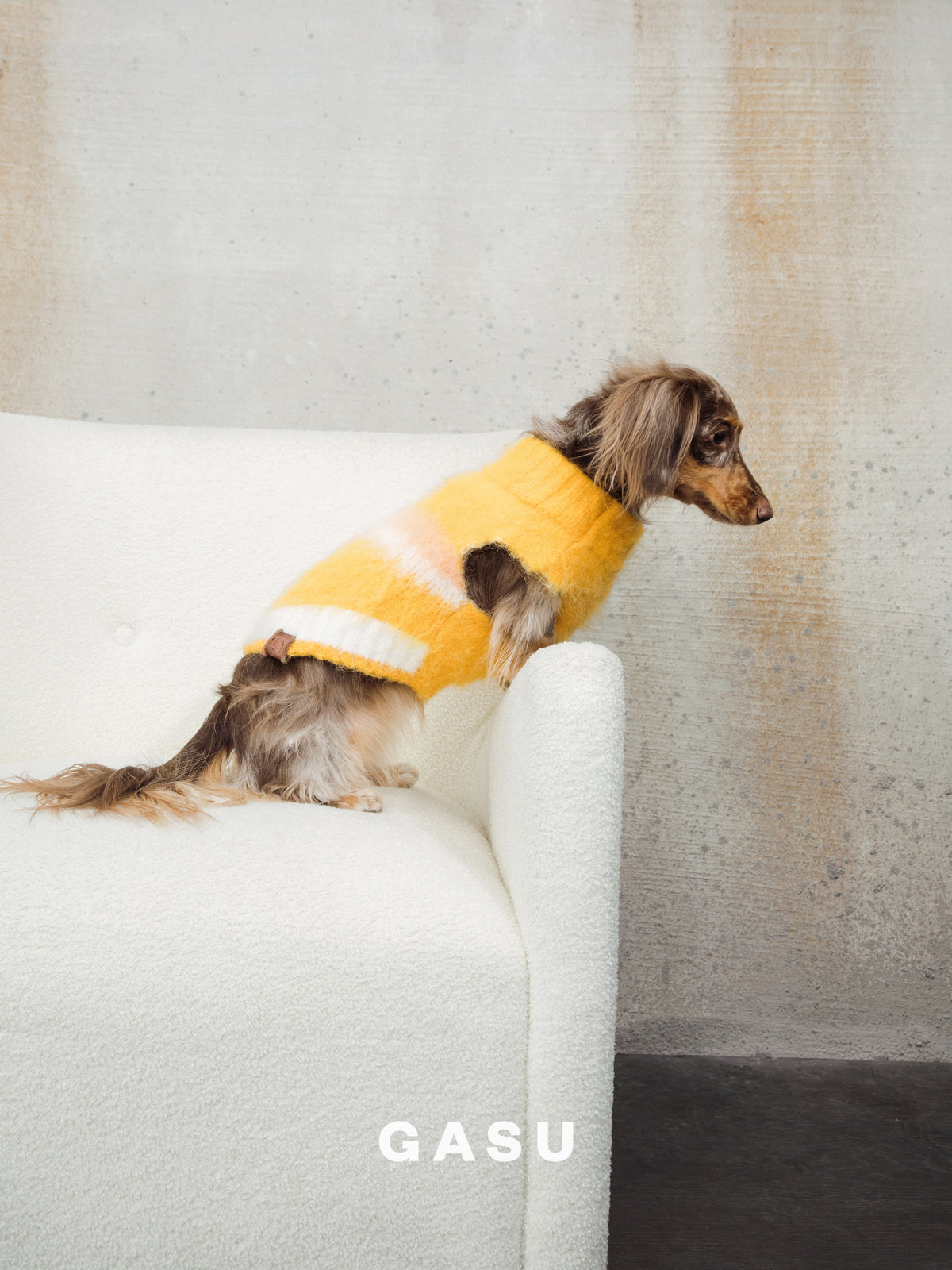 GASU Roseau / [Bud] Fine&Warm Alpaca Knit Vest