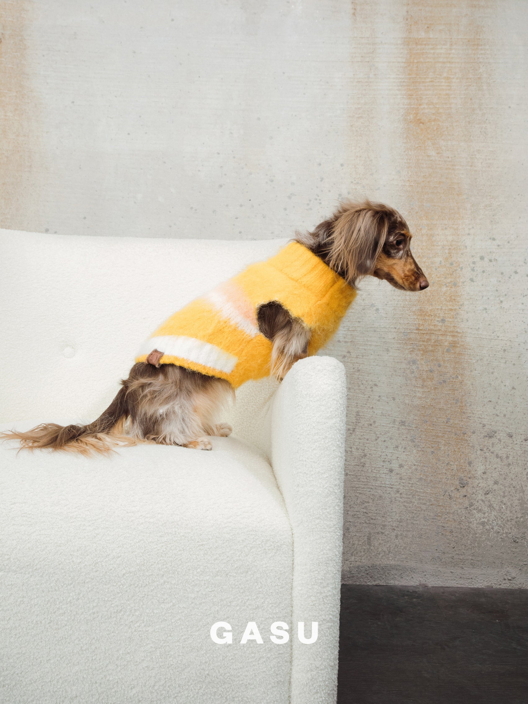 GASU Roseau / [Bud] Fine&Warm Alpaca Knit Vest