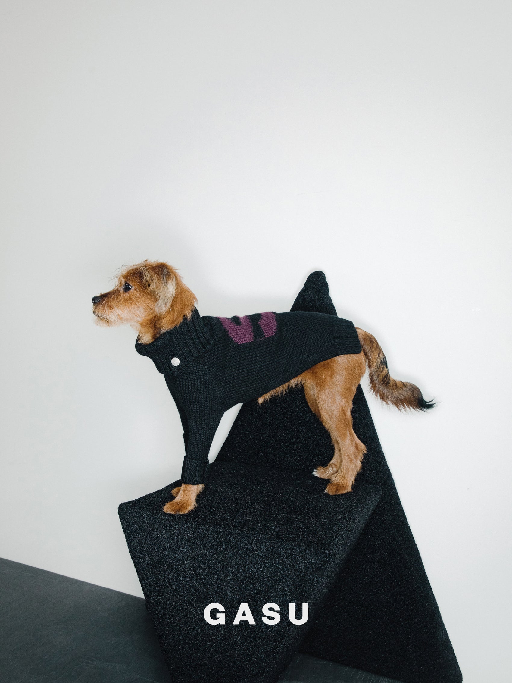 GASU® Svelte / [4 Colors] Vintage Letter Iggy 2-Legged Wool Sweater