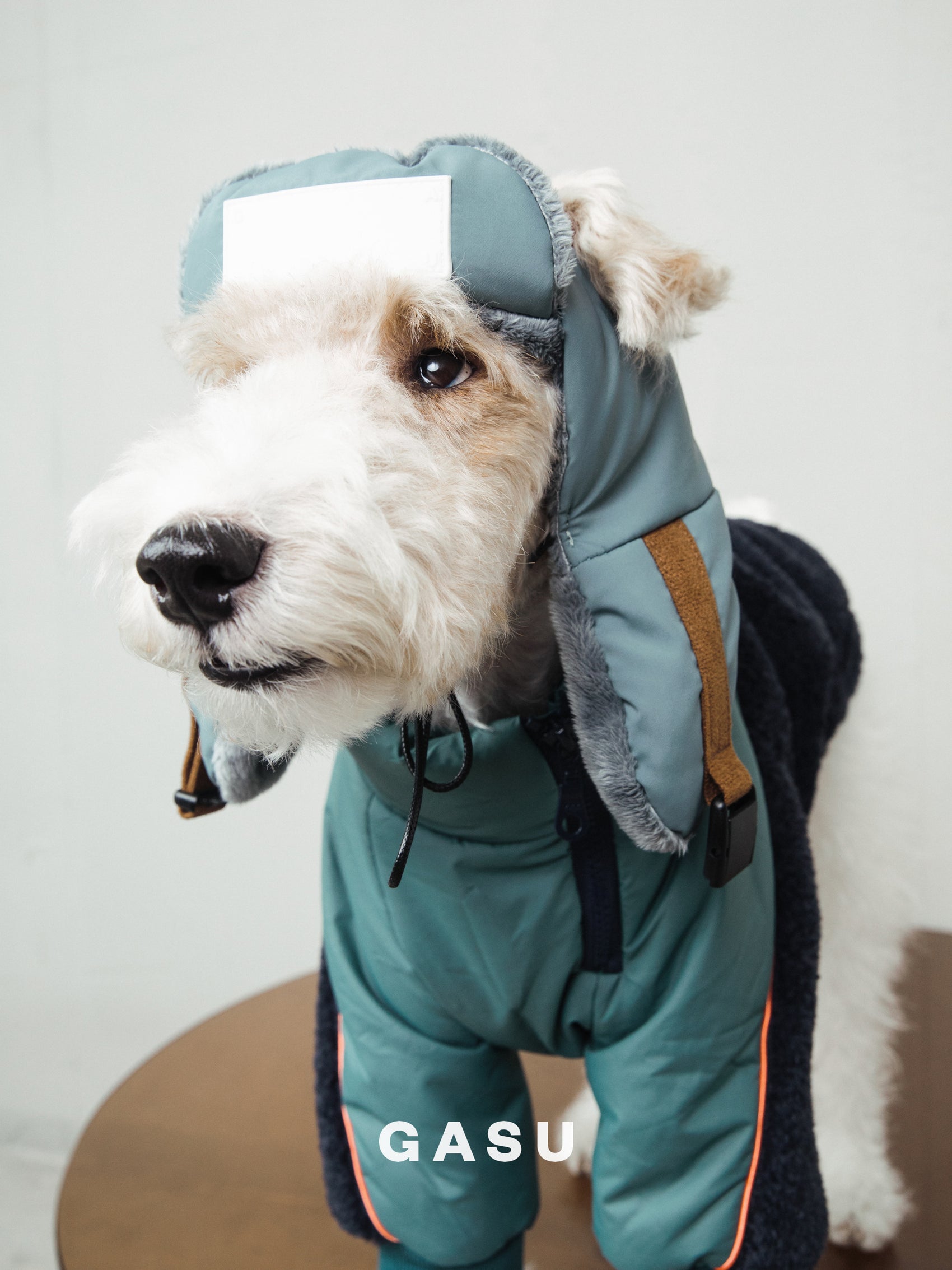 GASU Variété / [3 Colors] 3M Thinsulate™ Warm Fleece Padded 2-Leg Jacket