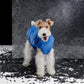 GASU Variété / [Neon Cobalt] Waterproof Reversible Ultra-Light Padded Vest