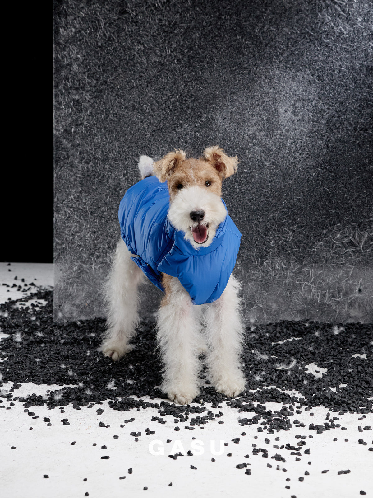 GASU Variété / [Neon Cobalt] Waterproof Reversible Ultra-Light Padded Vest