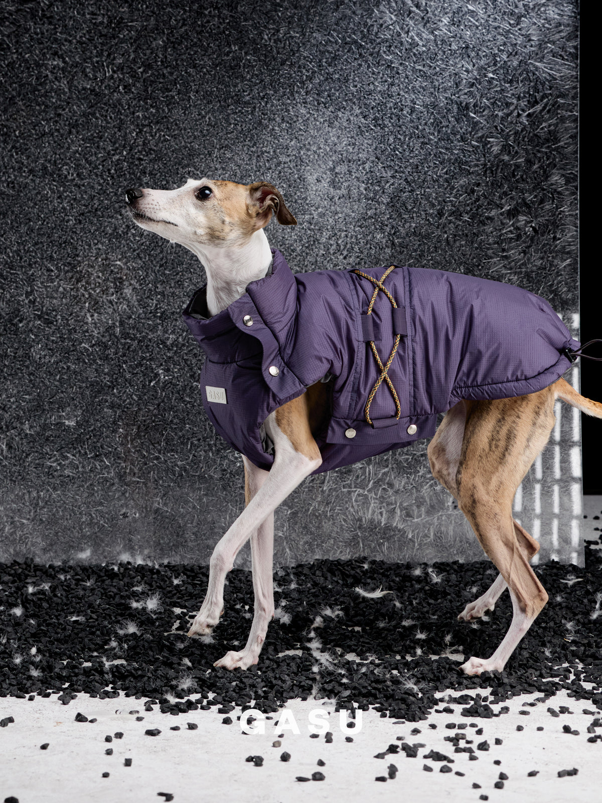 GASU Variété / [Midnight Plum] Waterproof Reversible Ultra-Light Padded Vest