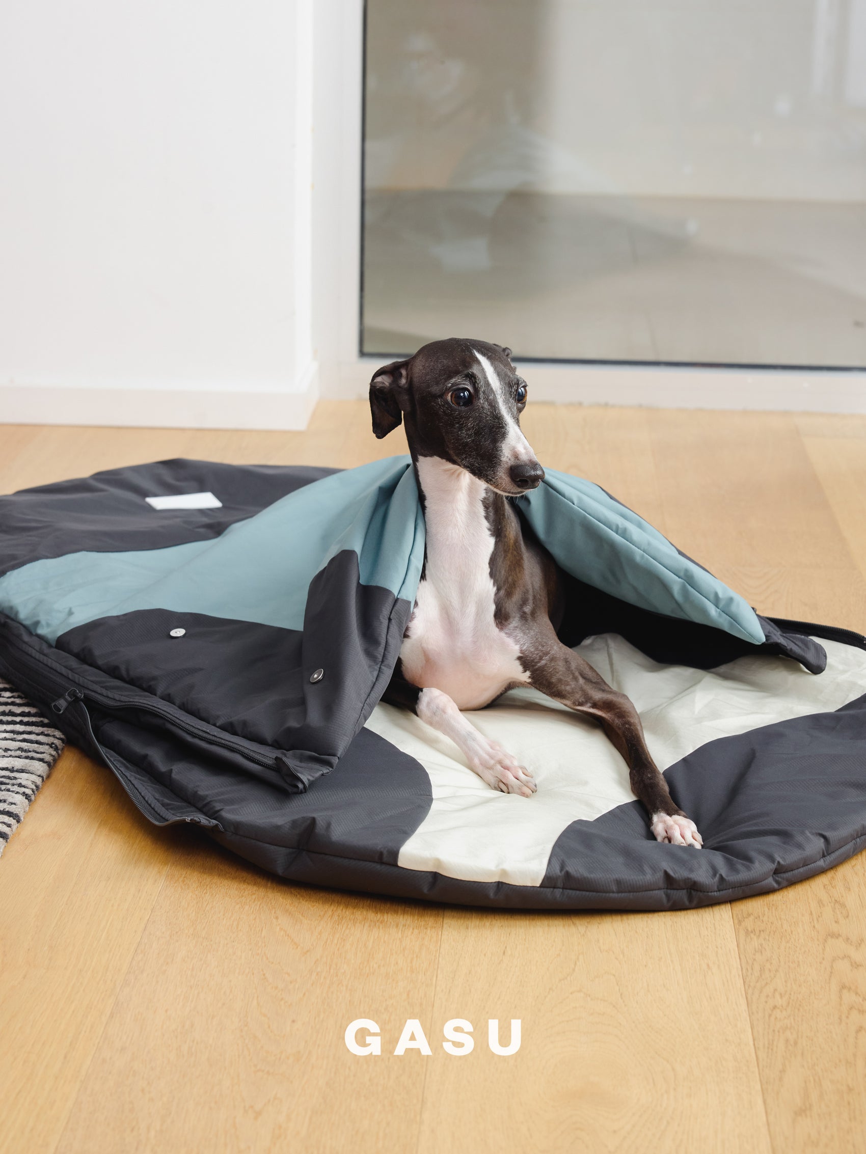 GASU Variété / [3 Colors] Sleeping Bag 3M Thinsulate™ Strong Waterproof Antistatic Ultra Puffy Lightweight