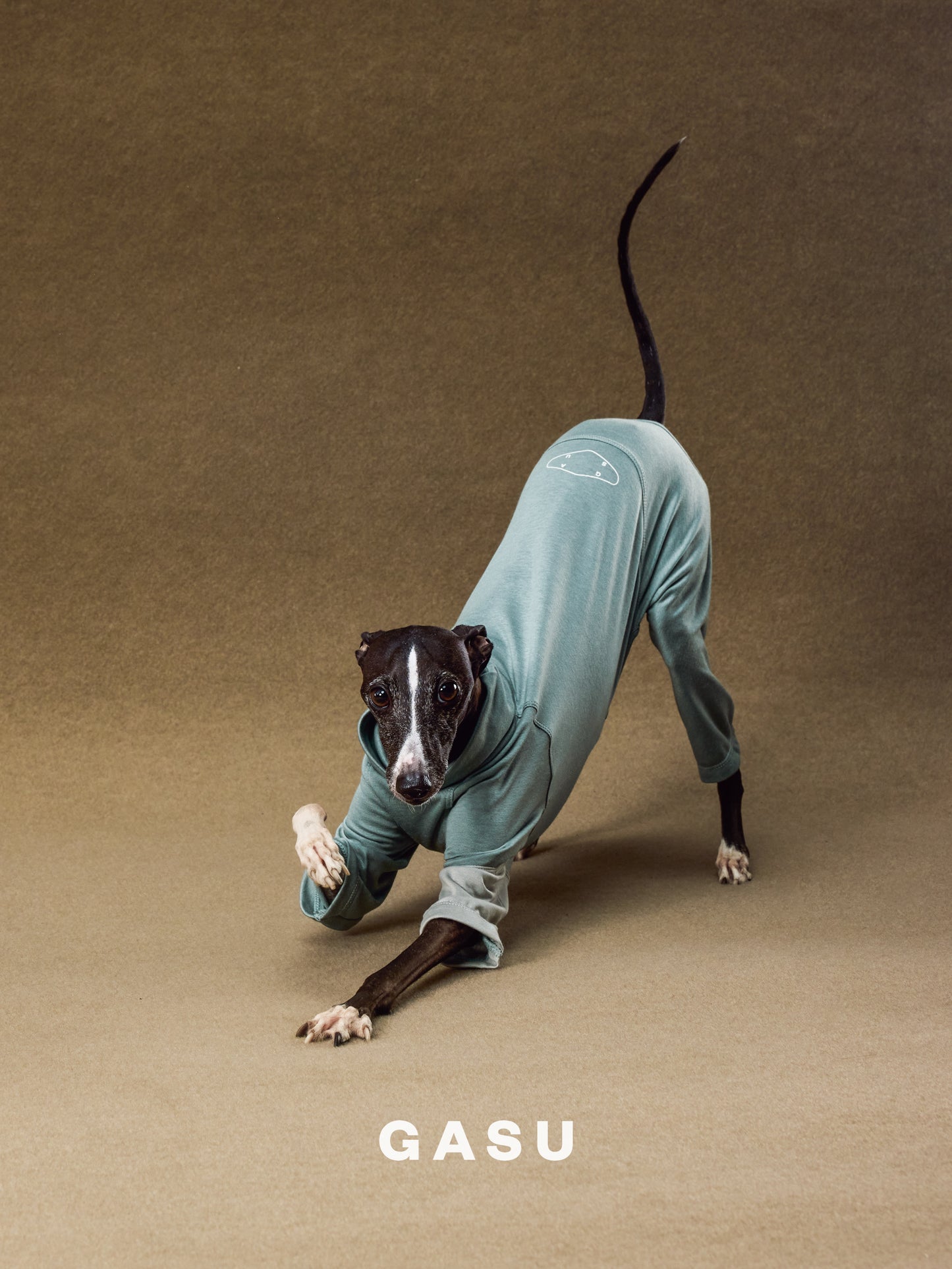 GASU Moi / [2 Colors] Imported Lyocell Breathable Light Soft Sleepwear