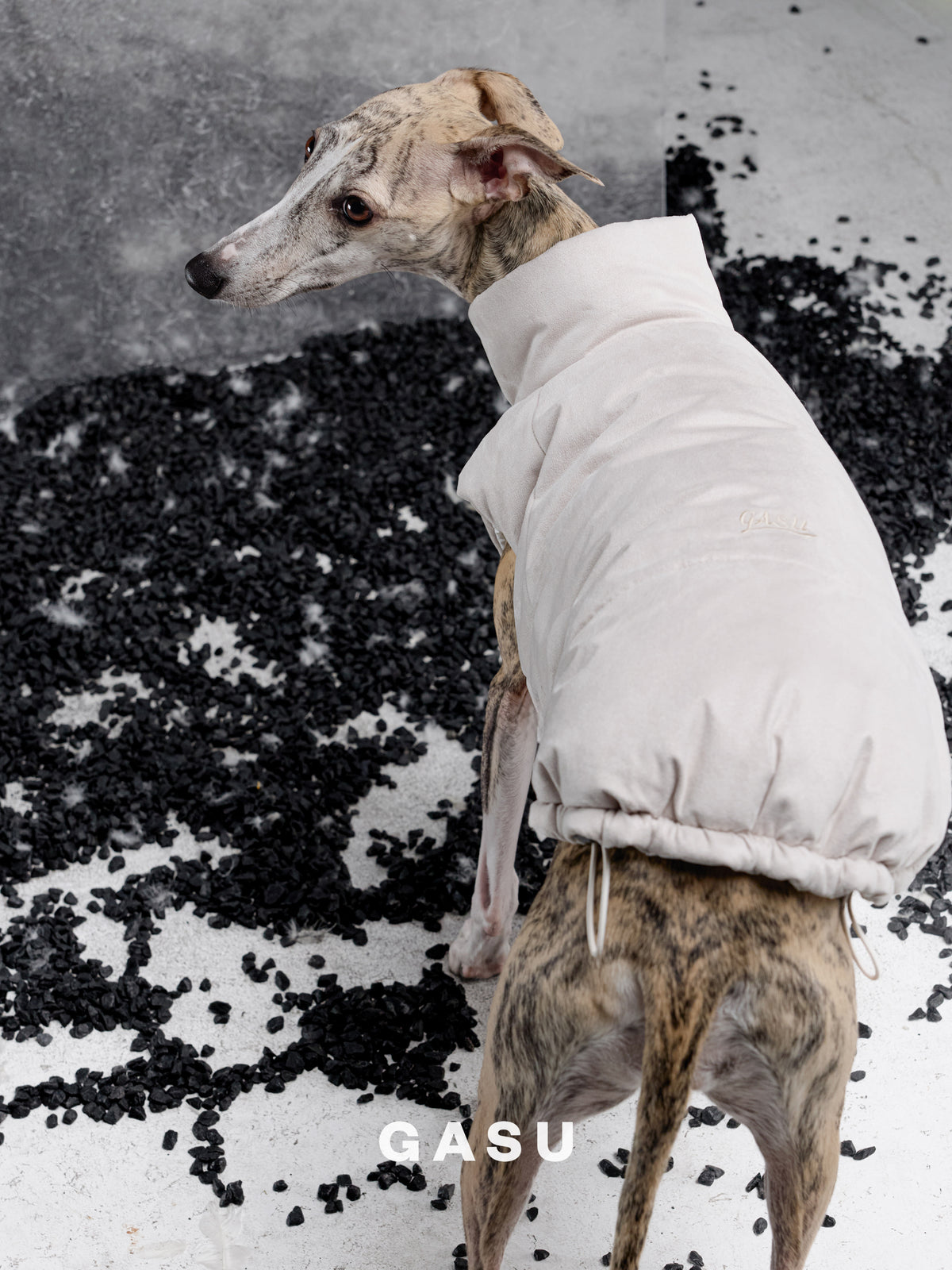 GASU Variété / [Cloud Sand] Waterproof Reversible Ultra-Light Padded Vest