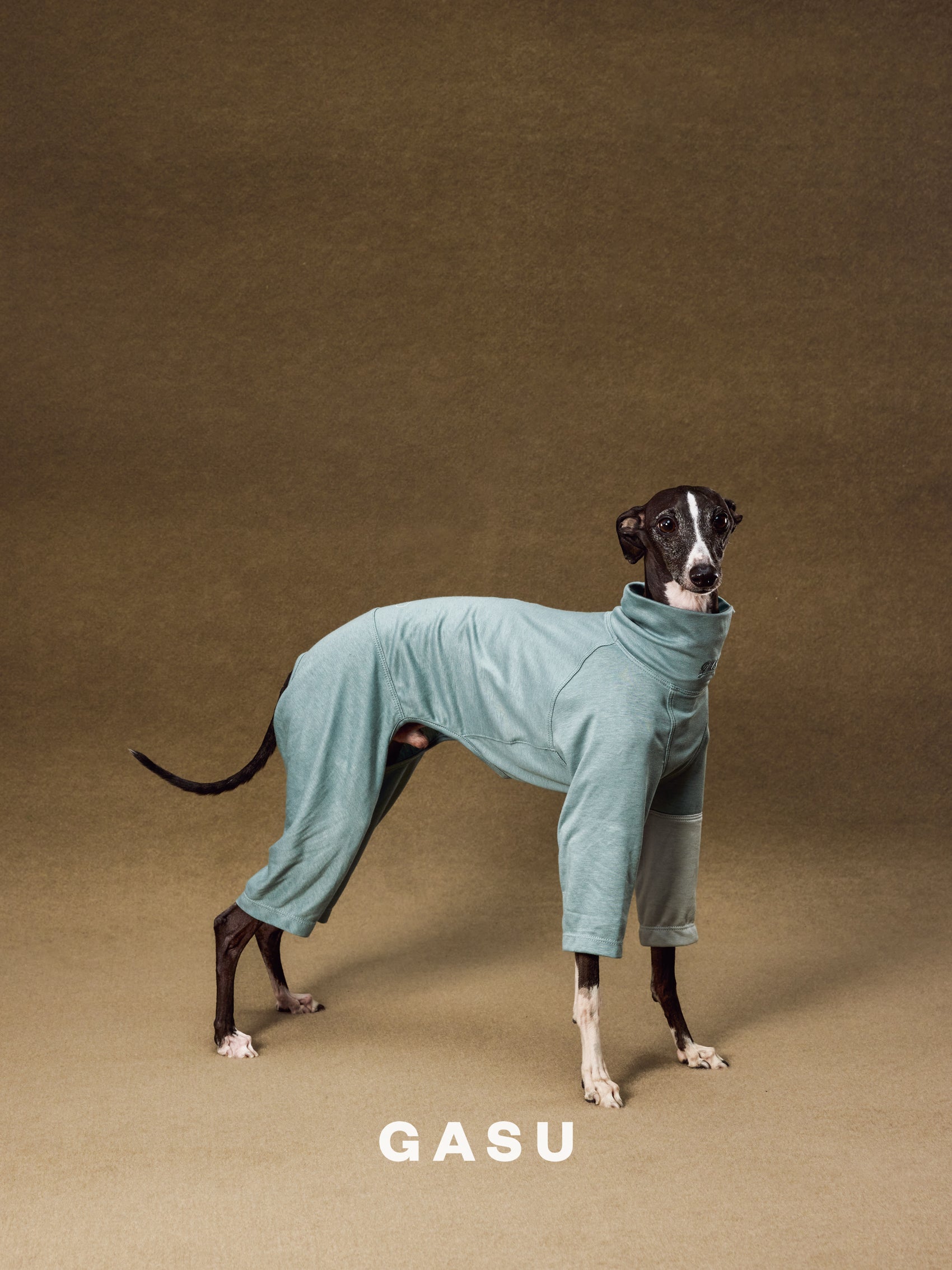 GASU Moi / [2 Colors] Imported Lyocell Breathable Light Soft Sleepwear