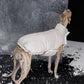 GASU Variété / [Cloud Sand] Waterproof Reversible Ultra-Light Padded Vest