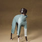 GASU Moi / [2 Colors] Imported Lyocell Breathable Light Soft Sleepwear