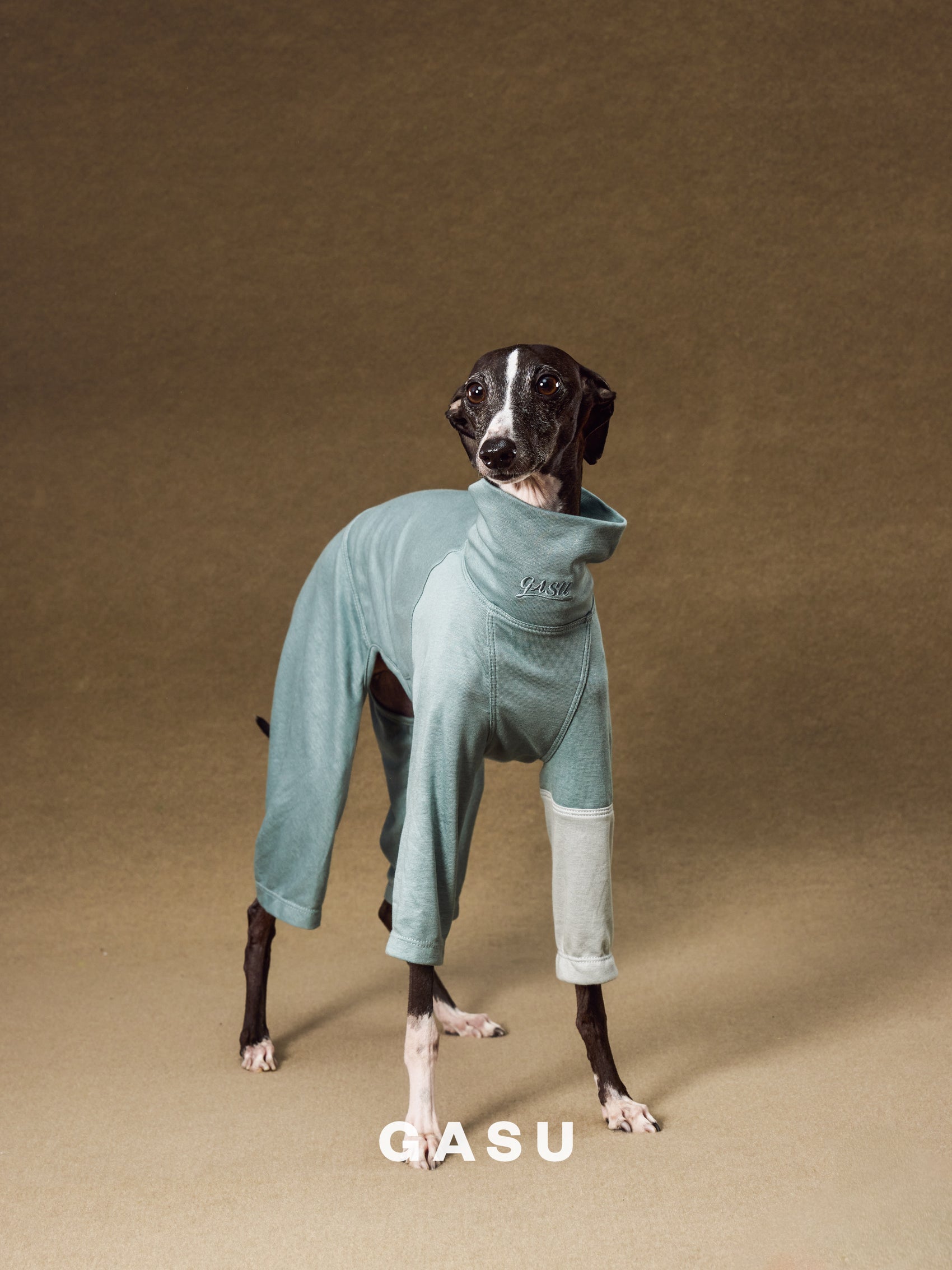 GASU Moi / [2 Colors] Imported Lyocell Breathable Light Soft Sleepwear