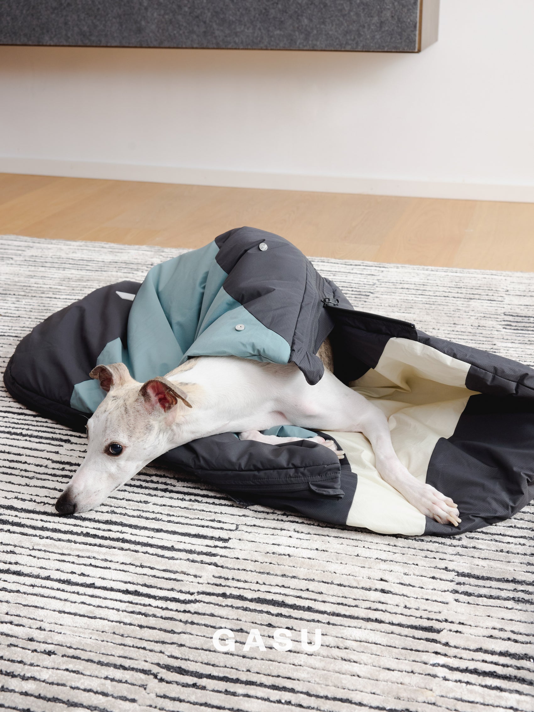GASU Variété / [3 Colors] Sleeping Bag 3M Thinsulate™ Strong Waterproof Antistatic Ultra Puffy Lightweight